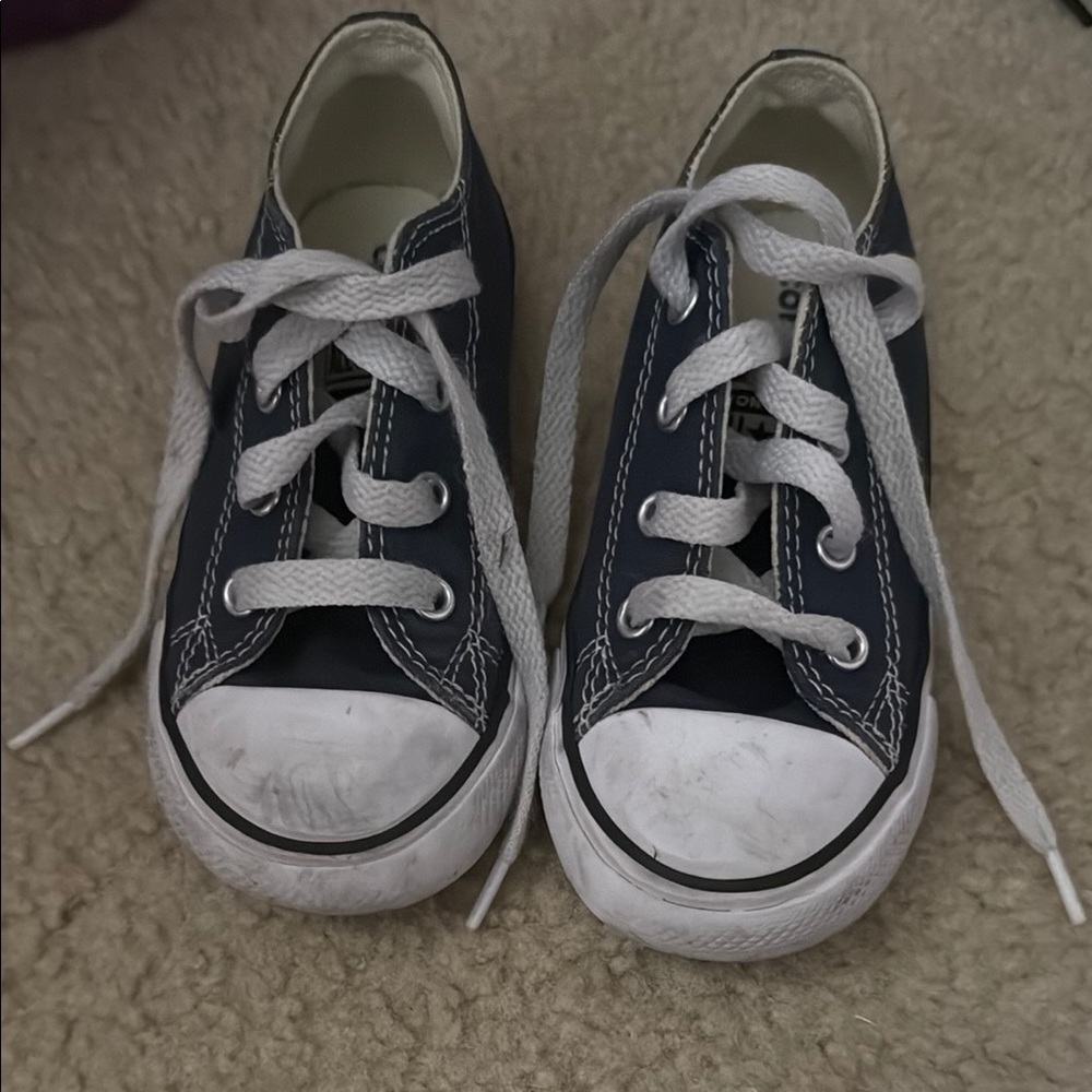 Converse Blue and White Canvas Sneakers Low-Top
